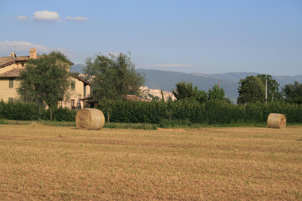 Residenza Isabella Spello Exterior foto